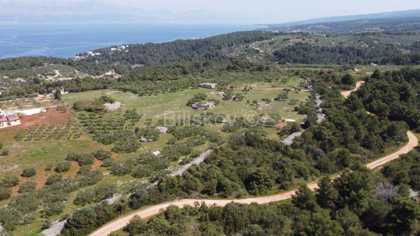 Brač, Sutivan, prodaja, poljoprivredno zemljište 24. 504m2