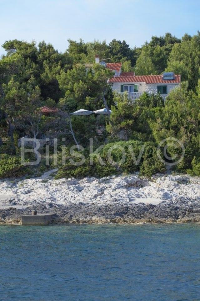 Korčula, južna strana, 1. red, bazen