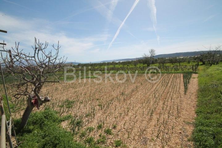 Trogir, Plano, građevinsko zemljište površine 4. 170 m2. 