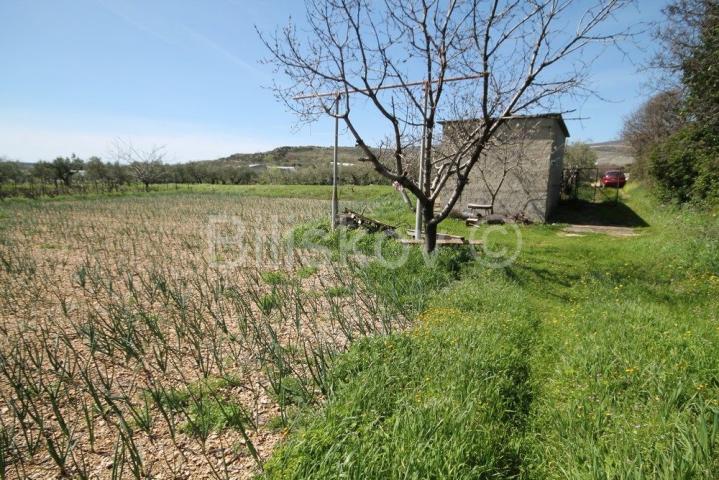 Trogir, Plano, građevinsko zemljište površine 4. 170 m2. 