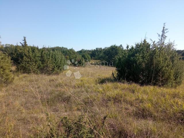 Land Rakalj, Marčana, 5.028m2