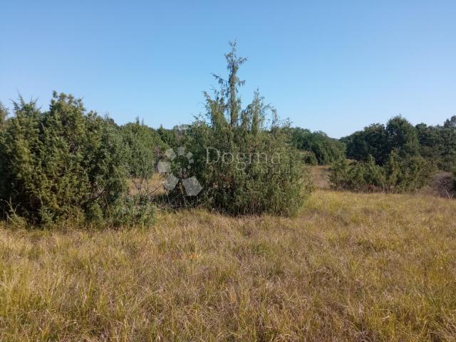 Land Rakalj, Marčana, 5.028m2