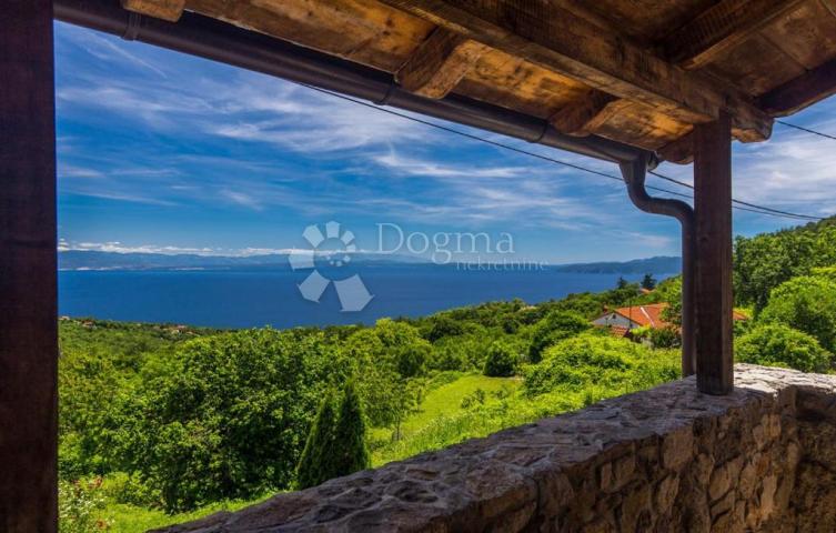 House Veprinac, Opatija - Okolica, 564m2