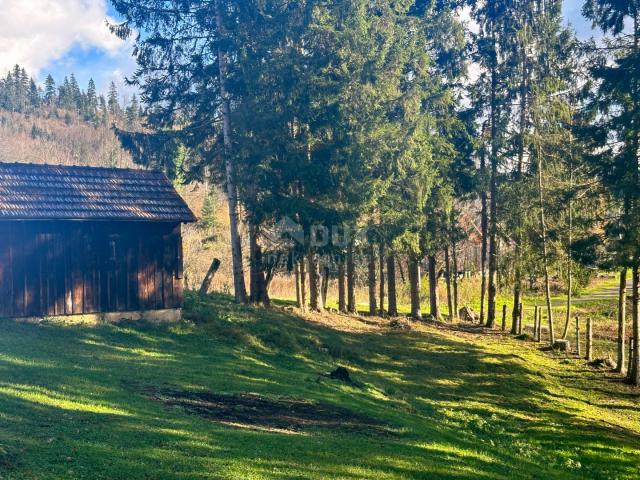 GORSKI KOTAR, MORAVICE-Prekrasna kuća u srcu Gorskog kotara