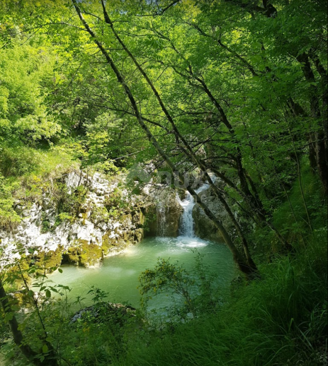 ISTRA, BUZET - Dvije kuće s prostranim zemljištem u netaknutoj prirodi