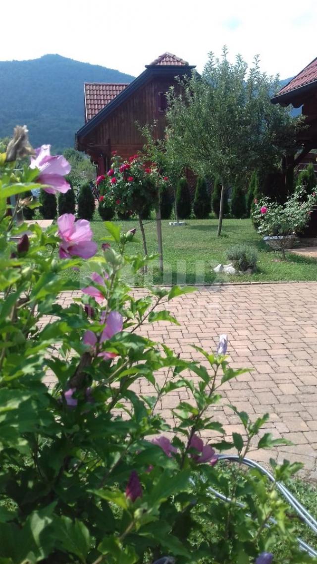 OTOČAC, LIČKO LEŠČE - Haus in der Natur mit Schwimmbad