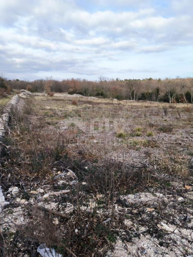 ISTRA, MARČANA Atraktivna građevinska parcela!