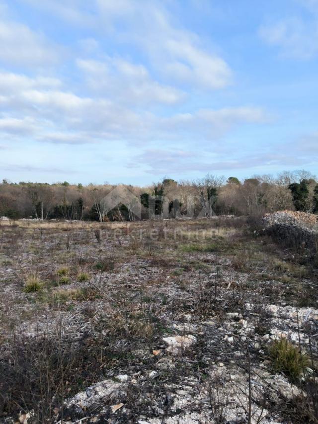 ISTRA, MARČANA Građevinski teren na mirnoj lokaciji! PRILIKA!