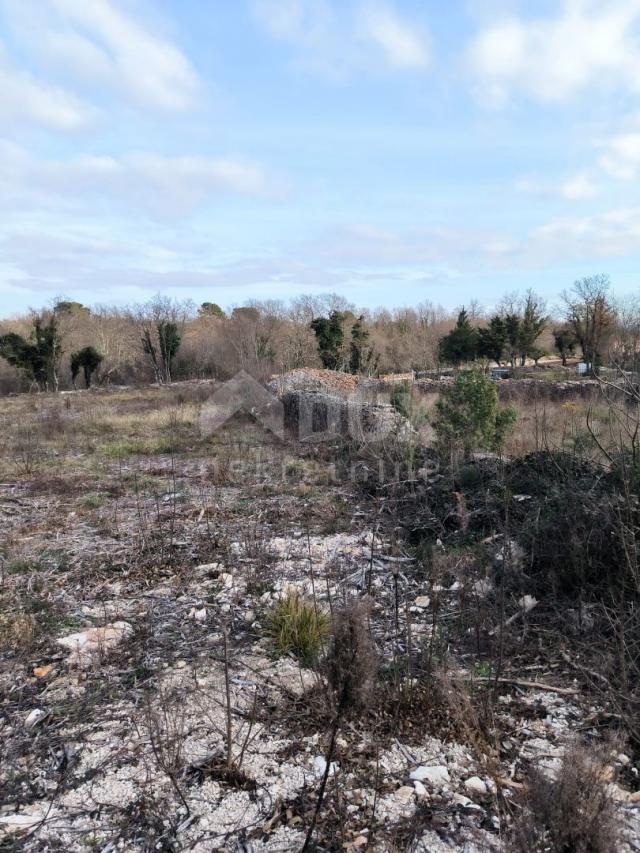 ISTRA, MARČANA Građevinski teren na mirnoj lokaciji! PRILIKA!