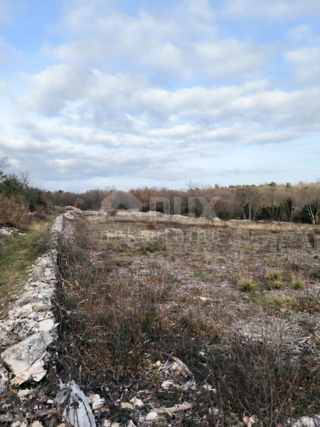 ISTRA, MARČANA Građevinski teren na mirnoj lokaciji! PRILIKA!