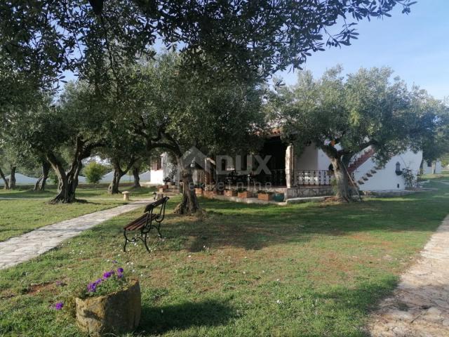 ISTRIA, GALIŽANA - A unique rustic house with a view of the Brijuni Islands!