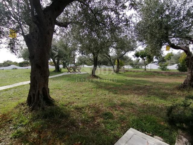 ISTRIA, GALIŽANA - A unique rustic house with a view of the Brijuni Islands!