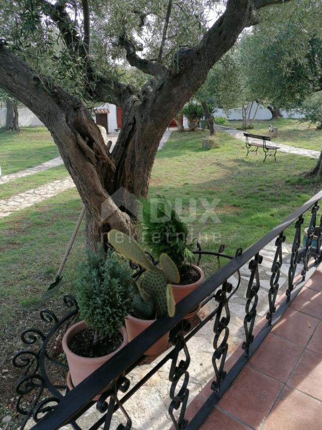 ISTRIA, GALIŽANA - A unique rustic house with a view of the Brijuni Islands!