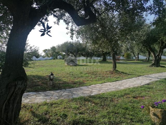 ISTRIA, GALIŽANA - A unique rustic house with a view of the Brijuni Islands!