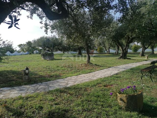 ISTRIA, GALIŽANA - A unique rustic house with a view of the Brijuni Islands!