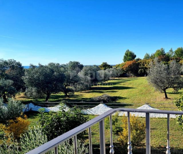 ISTRIA, GALIŽANA - A unique rustic house with a view of the Brijuni Islands!