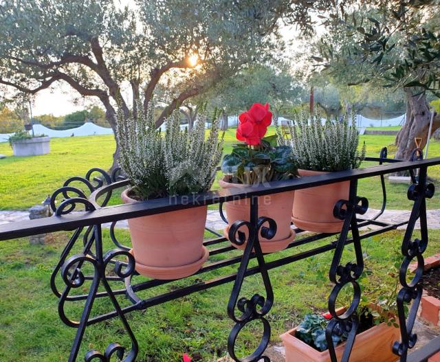 ISTRIA, GALIŽANA - A unique rustic house with a view of the Brijuni Islands!