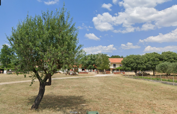 BIOGRAD, RAŠTANE GORNJE- Kamena kuća na parceli od 2300 m2