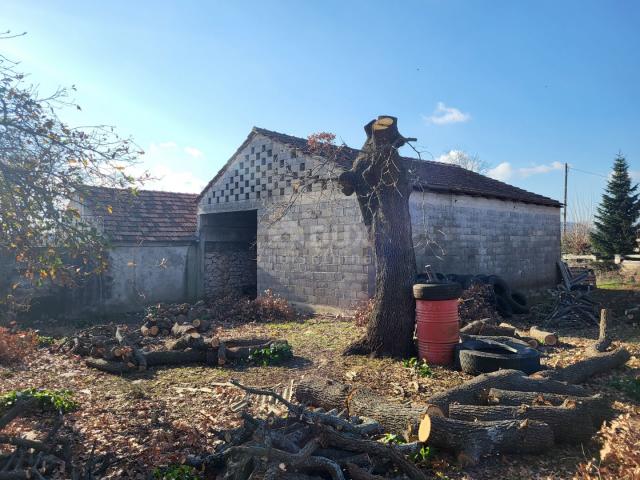 BIOGRAD, RAŠTANE GORNJE- Kamena kuća na parceli od 2300 m2