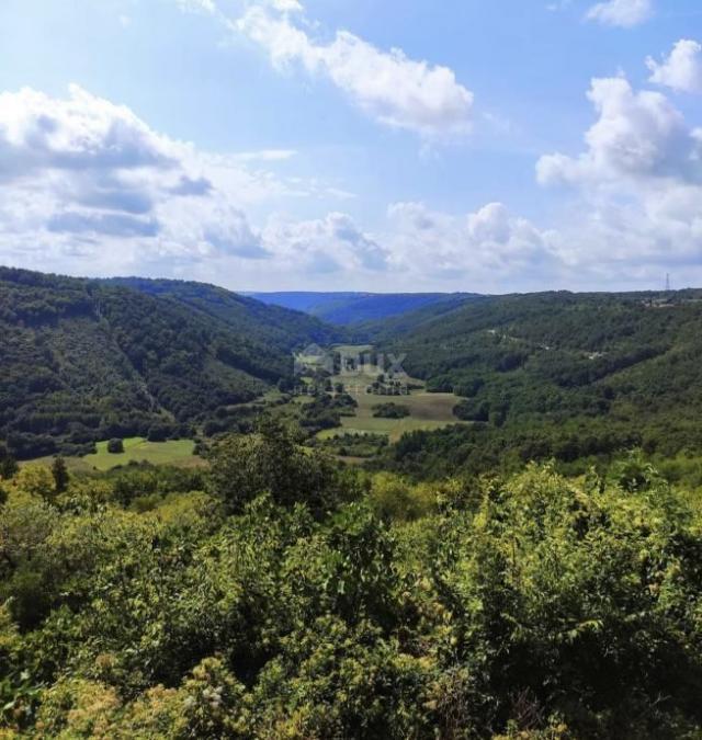 ISTRA, TINJAN - Građevinska parcela okružena zelenilom!