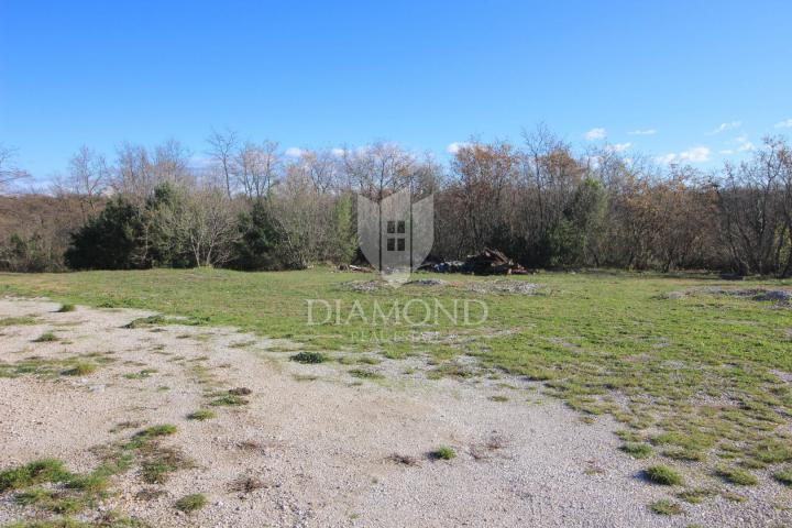 Marčana, surroundings, house with a spacious garden