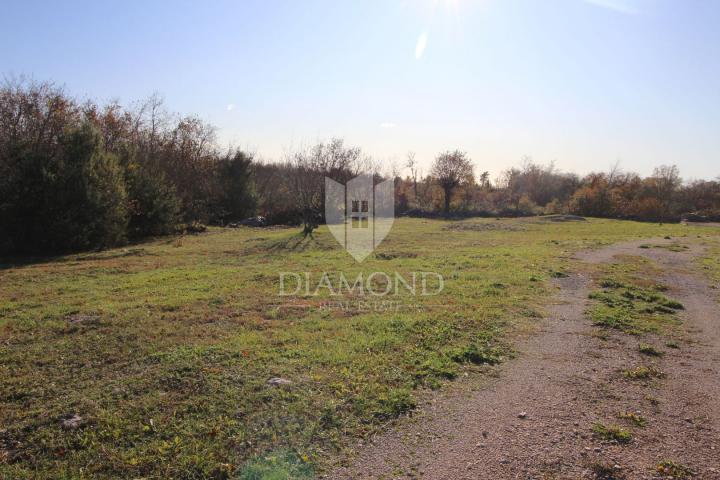 Marčana, surroundings, house with a spacious garden