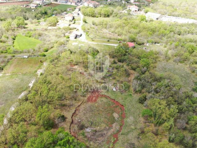 Marčana, surroundings, house with a spacious garden