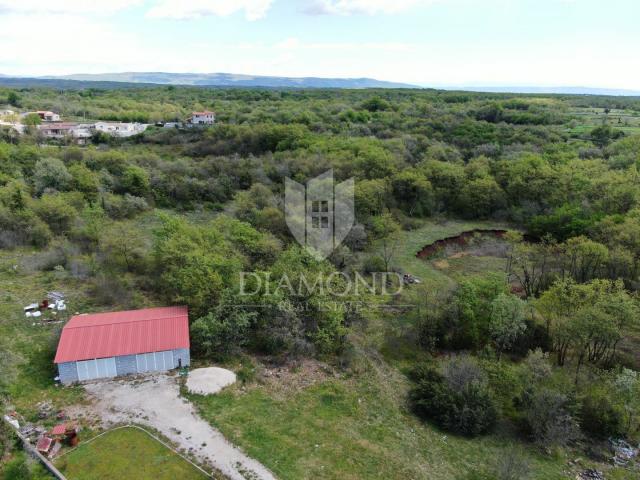 Marčana, surroundings, house with a spacious garden