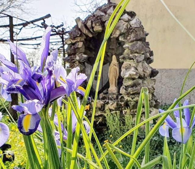 Labin, okolica, tradicionalna istarska kamena kuća