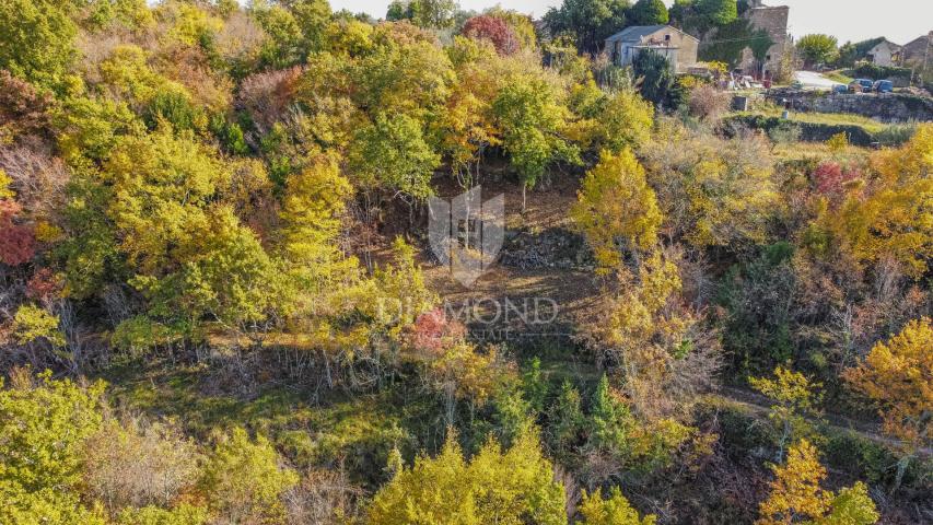 Građevinsko zemljište sa predivnim pogledom u blizini Grožnjana