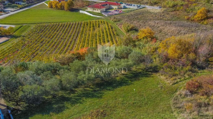 Vižinada, Bauland mit freiem Blick