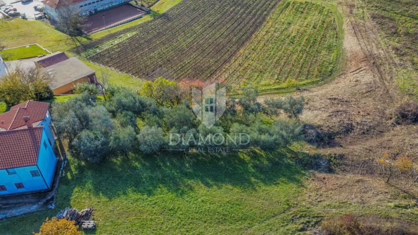 Vižinada, Bauland mit freiem Blick