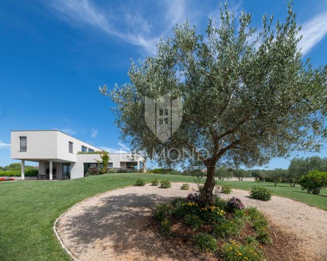 Modern gestaltete Villa mit großem Garten und wunderschönem Meerblick