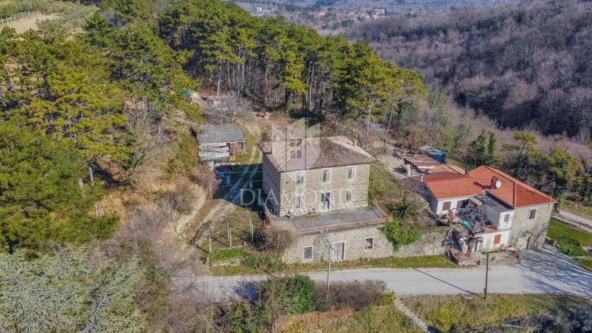 Indigenous Istrian house with potential and a view of Grožnjan