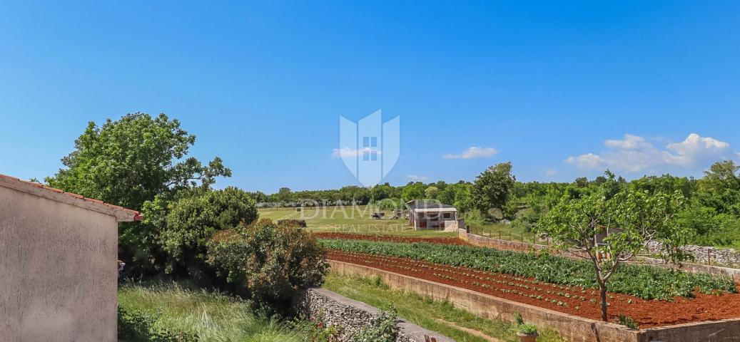 Marcana, surroundings, house with pool and large garden