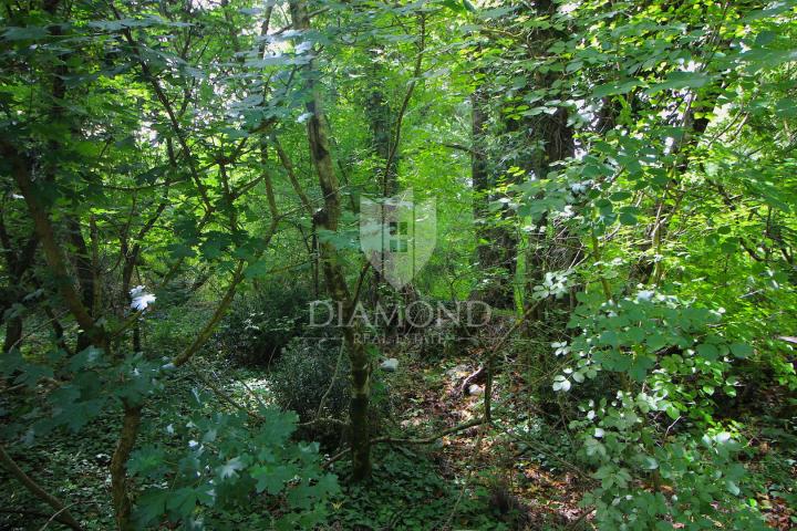 Labin, surroundings, old house for renovation with building land