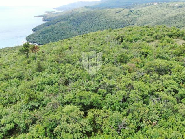 Rabac, kompleks poljoprivrednog zemljišta na odličnoj lokaciji  sa prekrasnim pogledom na more