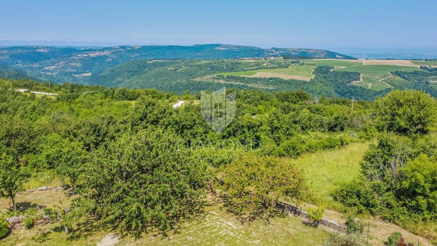 Momjan, okolica! Ruševina za adaptaciju sa panoramskim pogledom na more!