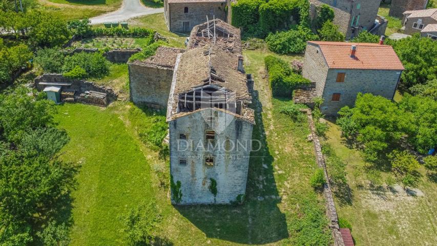 Momjan, okolica! Ruševina za adaptaciju sa panoramskim pogledom na more!