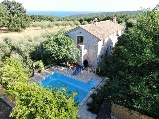 Marčana, surroundings, two stone houses with pool