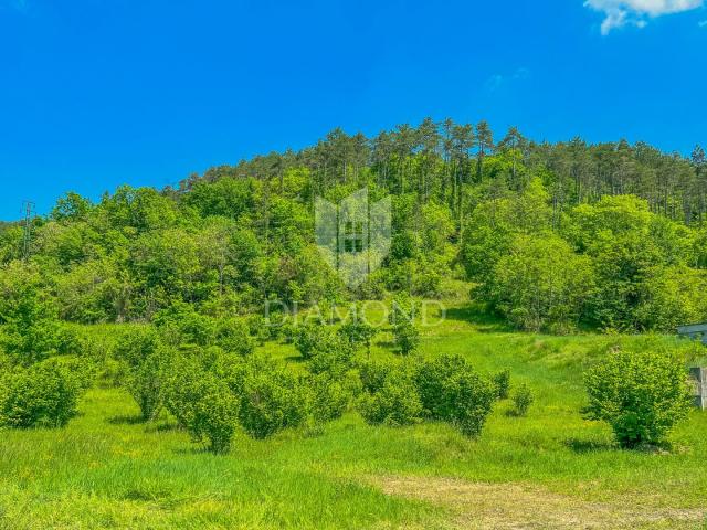 Umgebung von Oprtalj, geräumiges Baugrundstück mit Blick auf Motovun