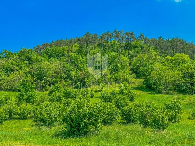 Umgebung von Oprtalj, geräumiges Baugrundstück mit Blick auf Motovun