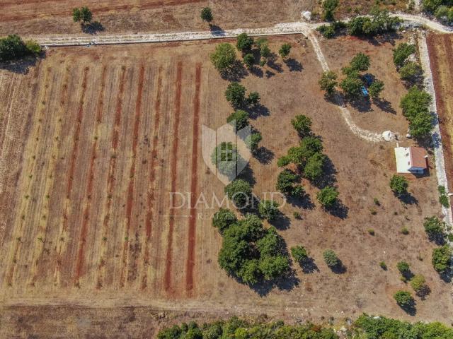 Rovinj, okolica, kućica sa prostranim zemljištem