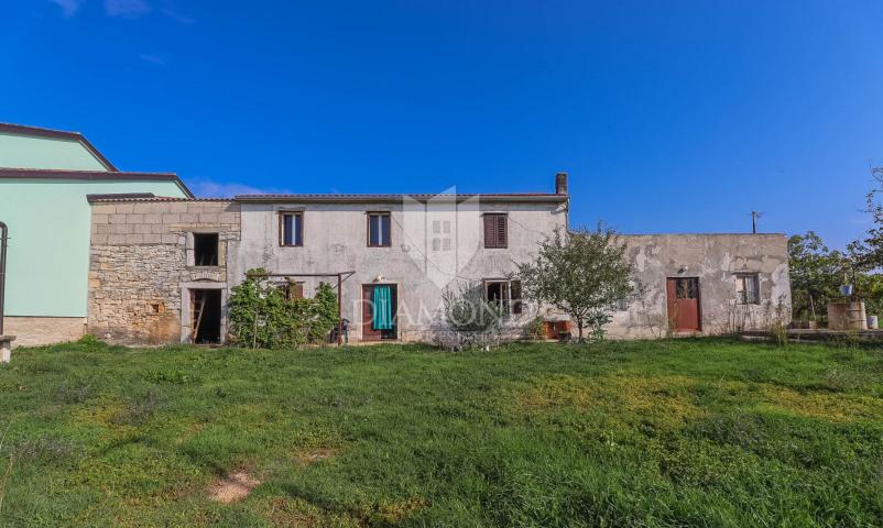 Vodnjan, surroundings, house with a large garden