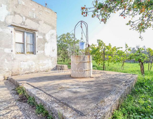 Vodnjan, surroundings, house with a large garden