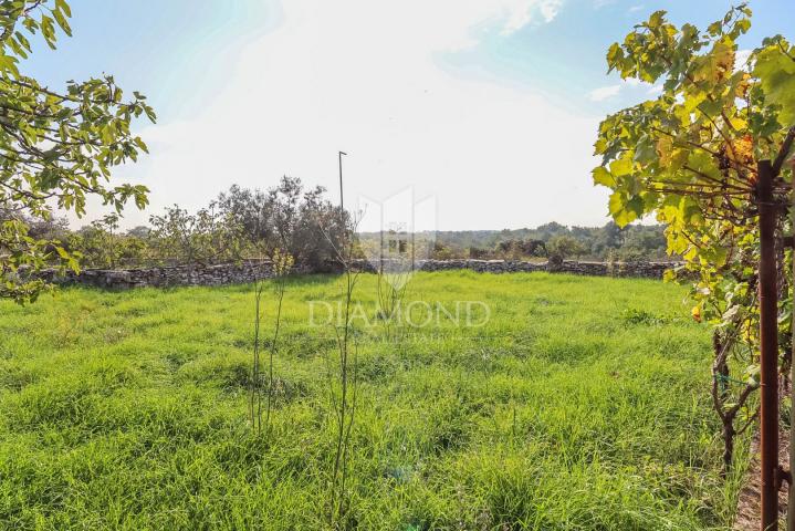 Vodnjan, surroundings, house with a large garden