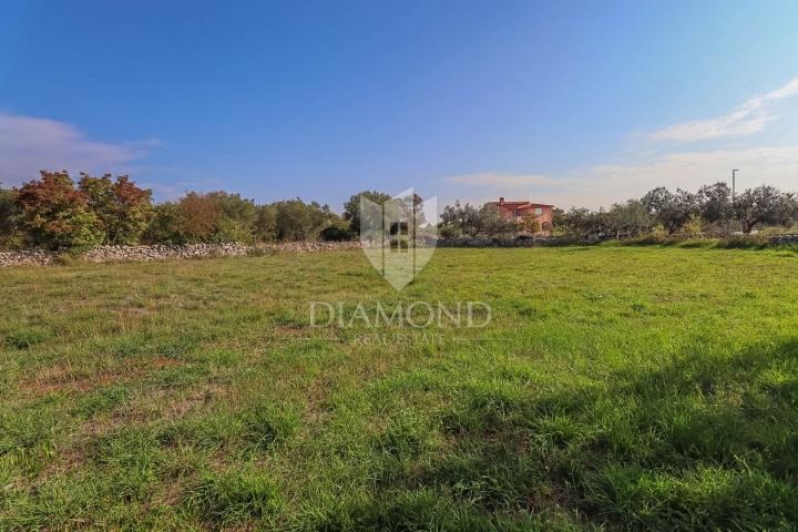 Vodnjan, surroundings, house with a large garden