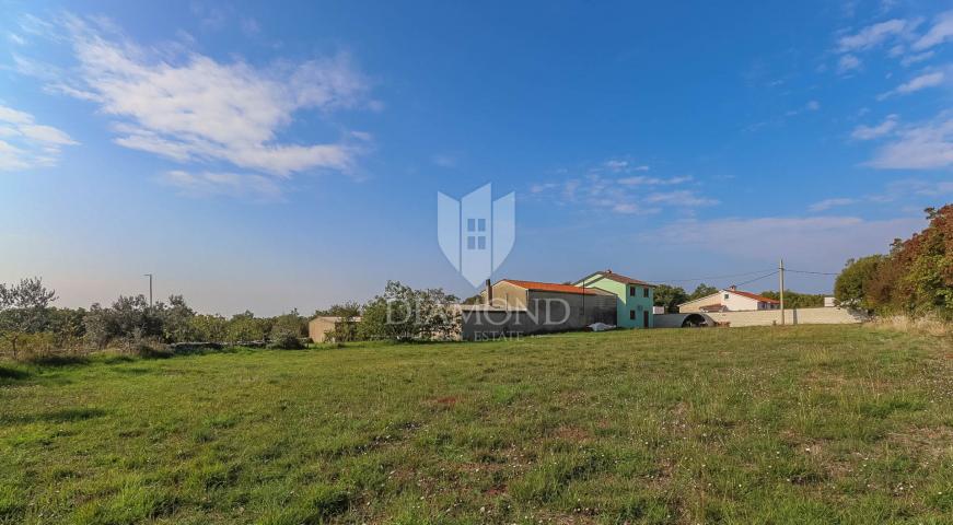 Vodnjan, surroundings, house with a large garden