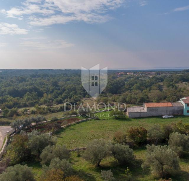 Vodnjan, surroundings, house with a large garden