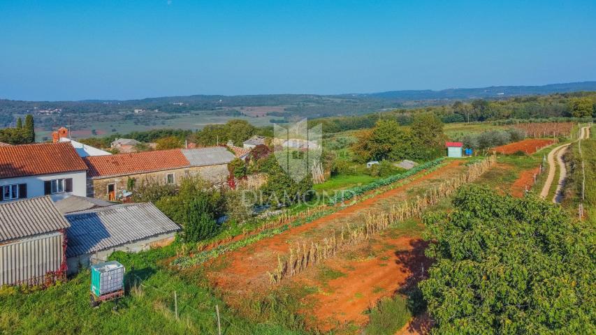 Oprtalj okolica, građevinsko zemljište pogodno za gradnju kuće